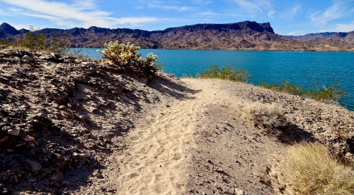 Cattail Cove - Lake Havasu City, Arizona hiking trail
